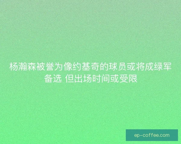 杨瀚森被誉为像约基奇的球员或将成绿军备选 但出场时间或受限